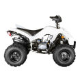 ATV quad bike 110cc for kids (FA-E110)